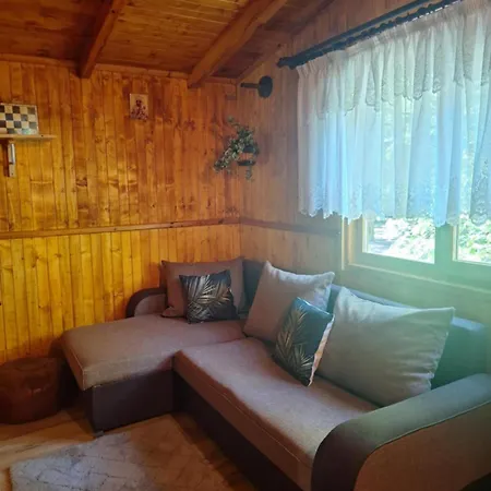Letniskowy Lipnica (Slupca)